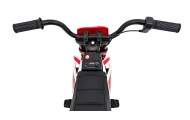 Elektrinis motociklas PANTONE 361C, Red-Elektromobiliai vaikams, Motociklai-e-vaikas