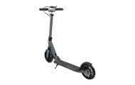 Hulajnoga SPORTRIKE Srebrna