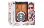 Wzmacniacz z Funkcją Bluetooth + Mikrofon