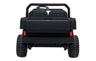 Elektromobilis Champion Pick-Up, Green-Elektromobiliai vaikams, Sunkvežimiai-e-vaikas