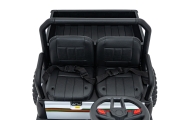 Elektromobilis Champion Pick-Up, Green-Elektromobiliai vaikams, Sunkvežimiai-e-vaikas