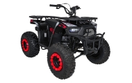 Benzininis keturratis 200CC MONSTER, Red-Elektromobiliai vaikams, Keturračiai ir bagiai-e-vaikas