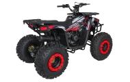 Benzininis keturratis 200CC MONSTER, Red-Elektromobiliai vaikams, Keturračiai ir bagiai-e-vaikas