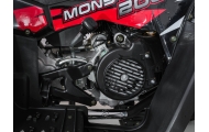 Benzininis keturratis 200CC MONSTER, Red-Elektromobiliai vaikams, Keturračiai ir bagiai-e-vaikas