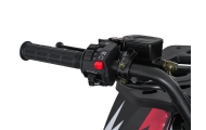 Benzininis keturratis 200CC MONSTER, Red-Elektromobiliai vaikams, Keturračiai ir bagiai-e-vaikas