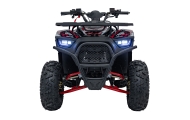 Benzininis keturratis 120CC DISCOVER, Red-Elektromobiliai vaikams, Keturračiai ir bagiai-e-vaikas