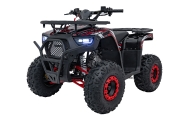 Benzininis keturratis 120CC DISCOVER, Red-Elektromobiliai vaikams, Keturračiai ir bagiai-e-vaikas