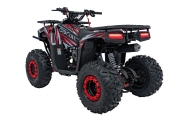 Benzininis keturratis 120CC DISCOVER, Red-Elektromobiliai vaikams, Keturračiai ir bagiai-e-vaikas