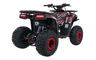 Benzininis keturratis 120CC DISCOVER, Red-Elektromobiliai vaikams, Keturračiai ir bagiai-e-vaikas