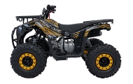 Benzininis keturratis 120CC DISCOVER, Orange-Elektromobiliai vaikams, Keturračiai ir bagiai-e-vaikas