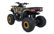 Benzininis keturratis 120CC DISCOVER, Orange-Elektromobiliai vaikams, Keturračiai ir bagiai-e-vaikas