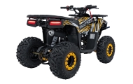 Benzininis keturratis 120CC DISCOVER, Orange-Elektromobiliai vaikams, Keturračiai ir bagiai-e-vaikas