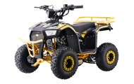 Benzininis keturratis 110CC EXPLORER, Yellow-Elektromobiliai vaikams, Keturračiai ir bagiai-e-vaikas