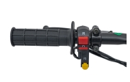 Benzininis motociklas 110CM IMMORTAL, Green-Elektromobiliai vaikams, Motociklai-e-vaikas