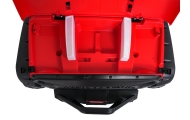 Elektromobilis PASSION 4x4, Red-Elektromobiliai vaikams, Visureigiai-e-vaikas