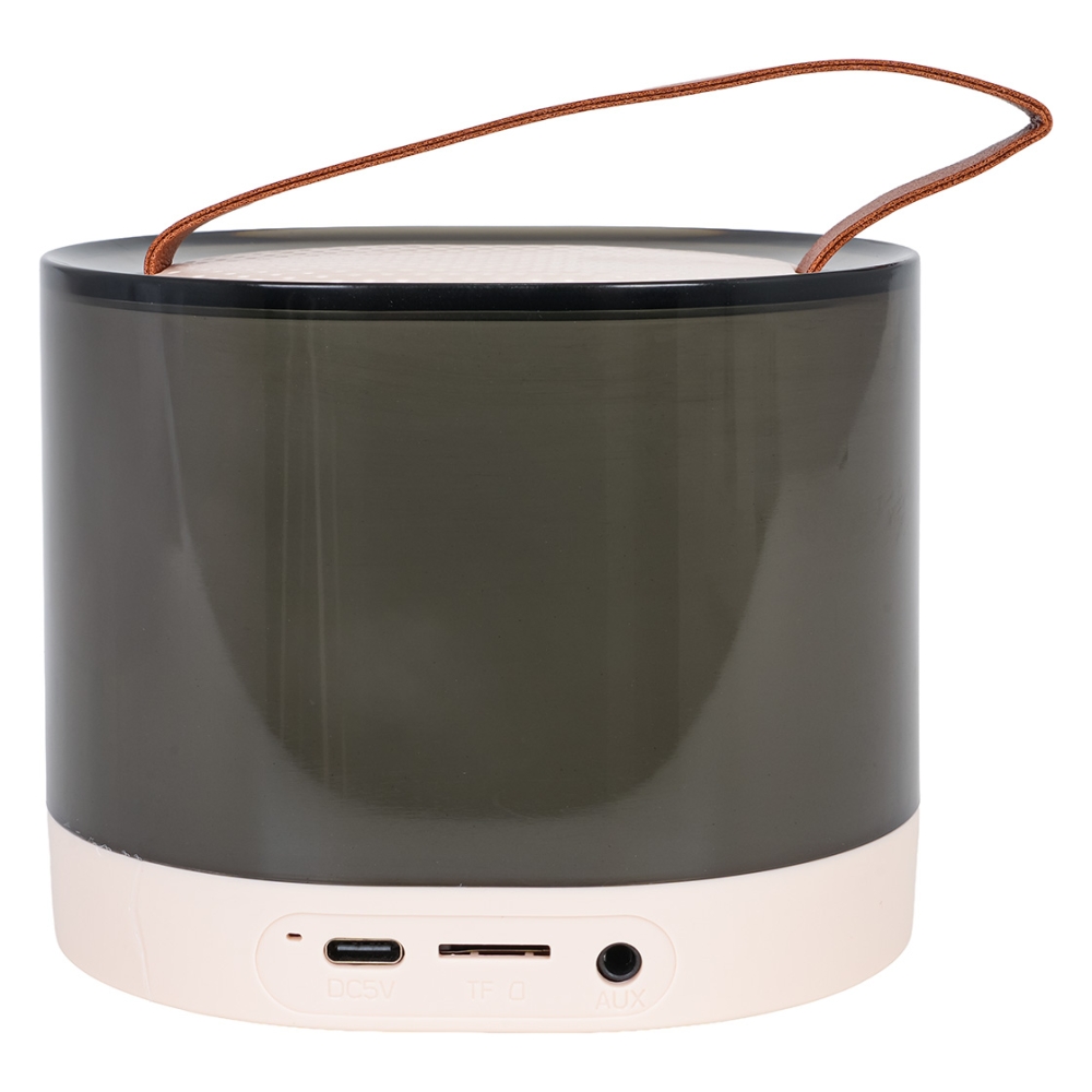 Karaokės rinkinys Mikrofonas + apšviestas garsiakalbis