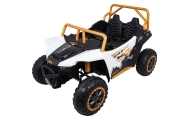 Dvivietis elektrinis Buggy Arctic Cat WILDCAT XX, White-Elektromobiliai vaikams, Keturračiai ir bagiai-e-vaikas