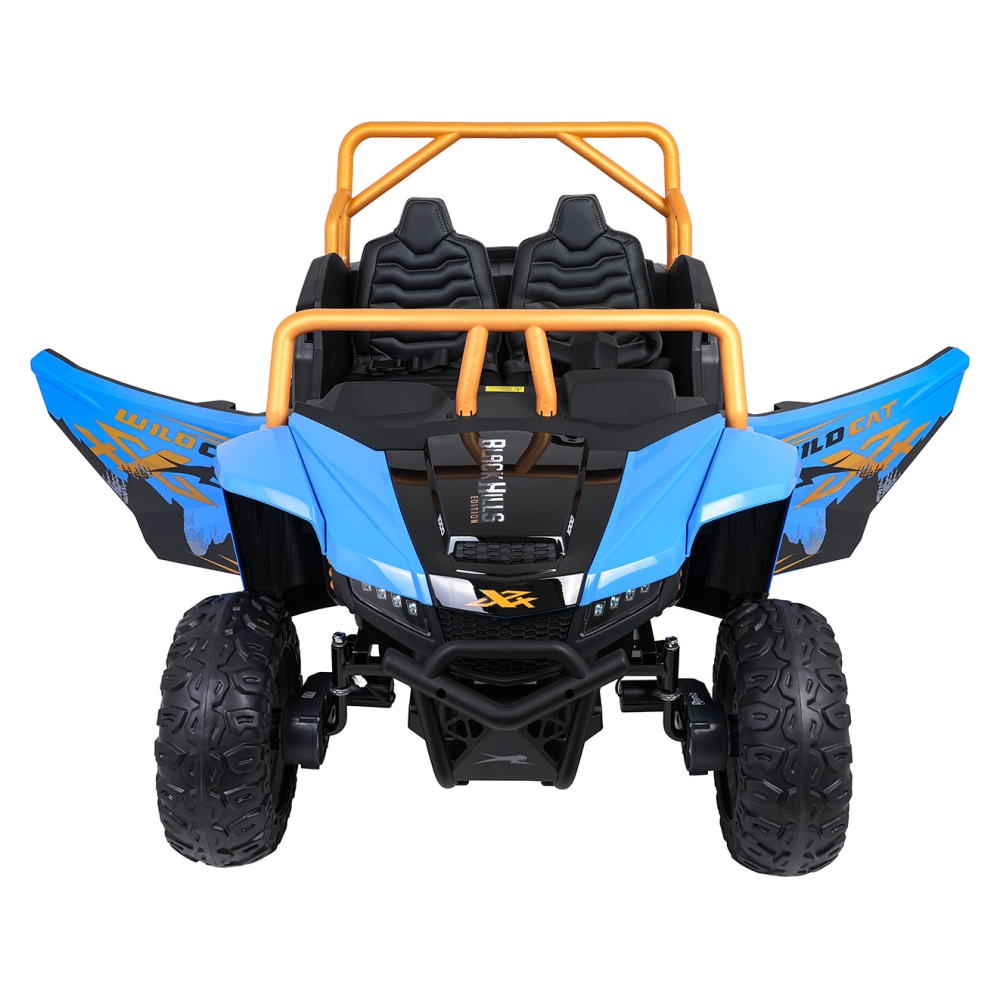 Dvivietis elektrinis Buggy Arctic Cat WILDCAT XX, Blue-Elektromobiliai vaikams, Keturračiai ir bagiai-e-vaikas
