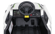 Elektrinis Buggy Kawasaki TERYX KRX1000, Grey-Elektromobiliai vaikams, Keturračiai ir bagiai-e-vaikas