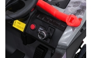 Elektrinis Buggy Kawasaki TERYX KRX1000, Red-Elektromobiliai vaikams, Keturračiai ir bagiai-e-vaikas