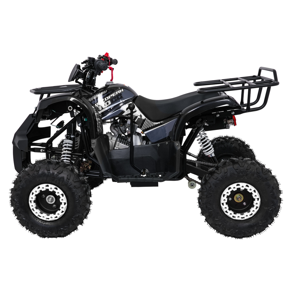 Variklinis keturratis motociklas „WILDPEAK“ 110 cm³, juodos spalvos-Elektromobiliai vaikams, Keturračiai ir bagiai-e-vaikas