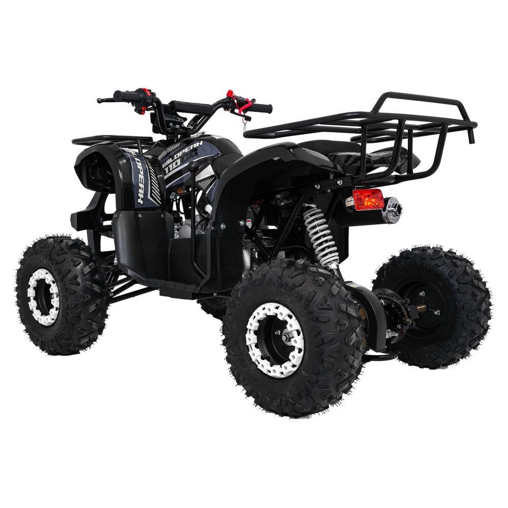 Variklinis keturratis motociklas „WILDPEAK“ 110 cm³, juodos spalvos-Elektromobiliai vaikams, Keturračiai ir bagiai-e-vaikas
