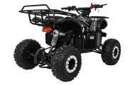 Pojazd Quad Spalinowy WILDPEAK 110cc Czarny