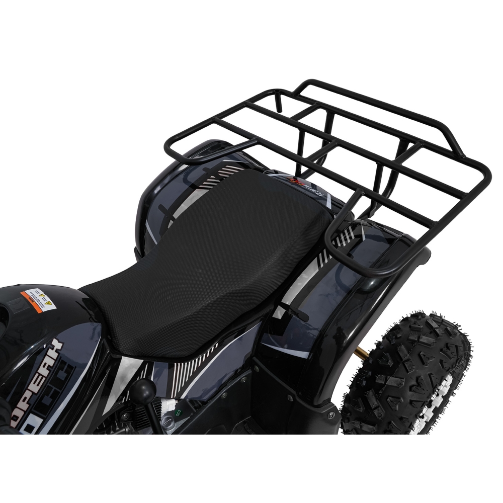 Variklinis keturratis motociklas „WILDPEAK“ 110 cm³, juodos spalvos-Elektromobiliai vaikams, Keturračiai ir bagiai-e-vaikas