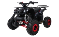 Pojazd Quad Spalinowy WILDPEAK 110cc Czerwony