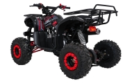Pojazd Quad Spalinowy WILDPEAK 110cc Czerwony