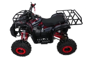 Pojazd Quad Spalinowy WILDPEAK 110cc Czerwony