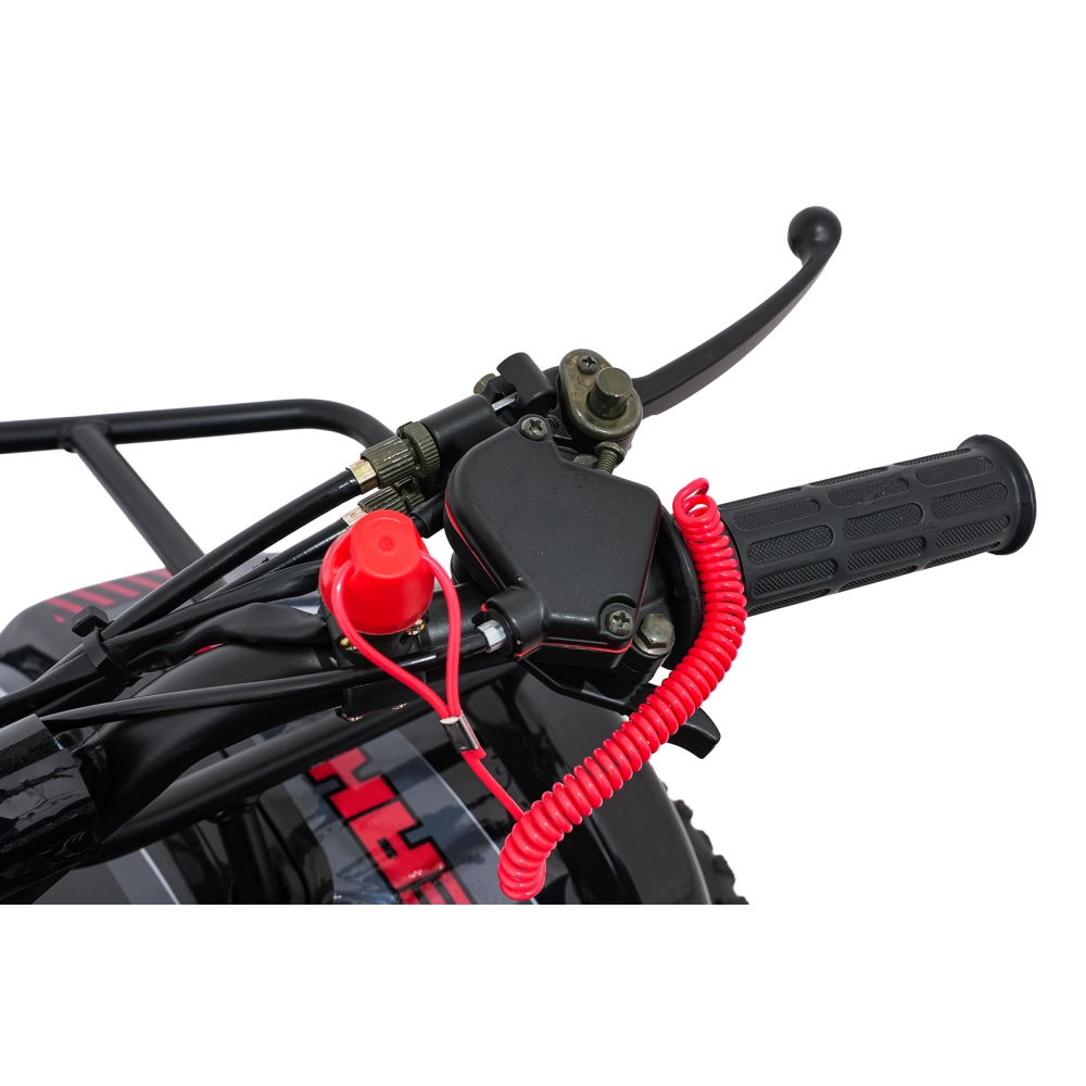 Variklinis keturratis motociklas „WILDPEAK“ 110 cm³, raudonas-Elektromobiliai vaikams, Keturračiai ir bagiai-e-vaikas