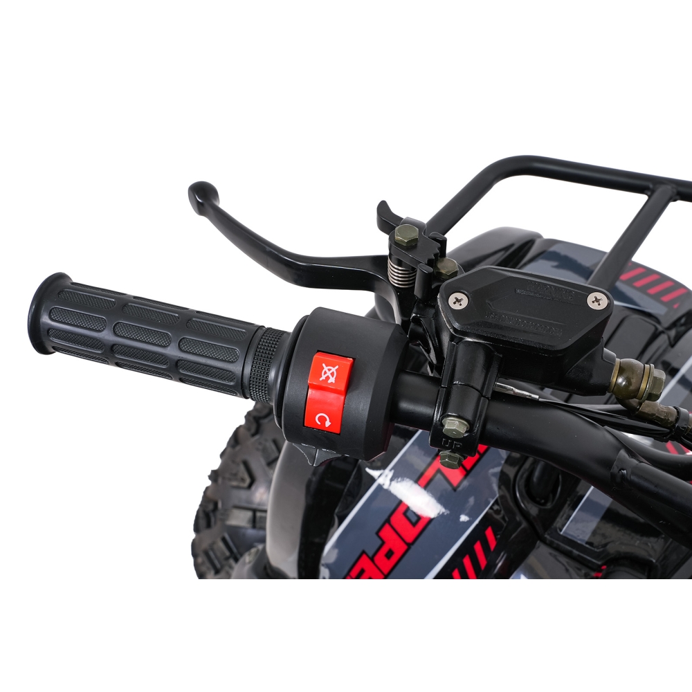 Variklinis keturratis motociklas „WILDPEAK“ 110 cm³, raudonas-Elektromobiliai vaikams, Keturračiai ir bagiai-e-vaikas