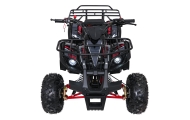 Variklinis keturratis motociklas „WILDPEAK“ 110 cm³, raudonas-Elektromobiliai vaikams, Keturračiai ir bagiai-e-vaikas