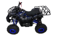 Pojazd Quad Spalinowy WILDPEAK 110cc Niebieski