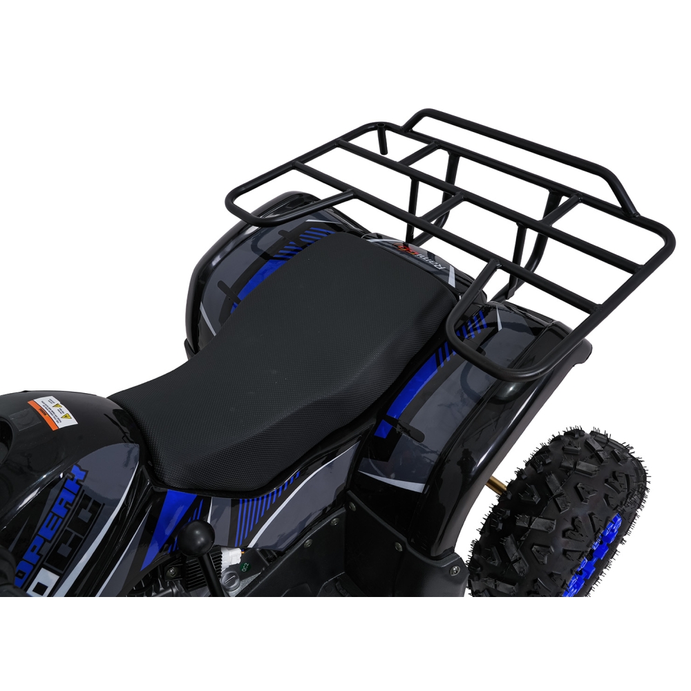 Variklinis keturratis motociklas „WILDPEAK“ 110 cm³, mėlynos spalvos-Elektromobiliai vaikams, Keturračiai ir bagiai-e-vaikas