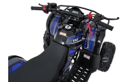 Variklinis keturratis motociklas „WILDPEAK“ 110 cm³, mėlynos spalvos-Elektromobiliai vaikams, Keturračiai ir bagiai-e-vaikas