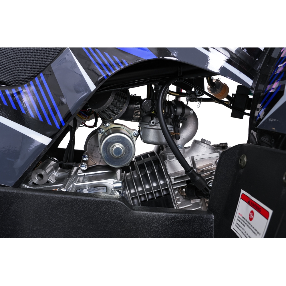Variklinis keturratis motociklas „WILDPEAK“ 110 cm³, mėlynos spalvos-Elektromobiliai vaikams, Keturračiai ir bagiai-e-vaikas