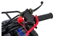 Pojazd Quad Spalinowy WILDPEAK 110cc Niebieski