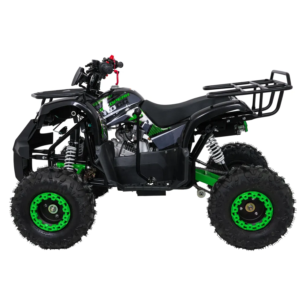 Variklinis keturratis motociklas „WILDPEAK“ 110 cm³, žalias-Elektromobiliai vaikams, Keturračiai ir bagiai-e-vaikas