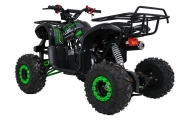 Pojazd Quad Spalinowy WILDPEAK 110cc Zielony