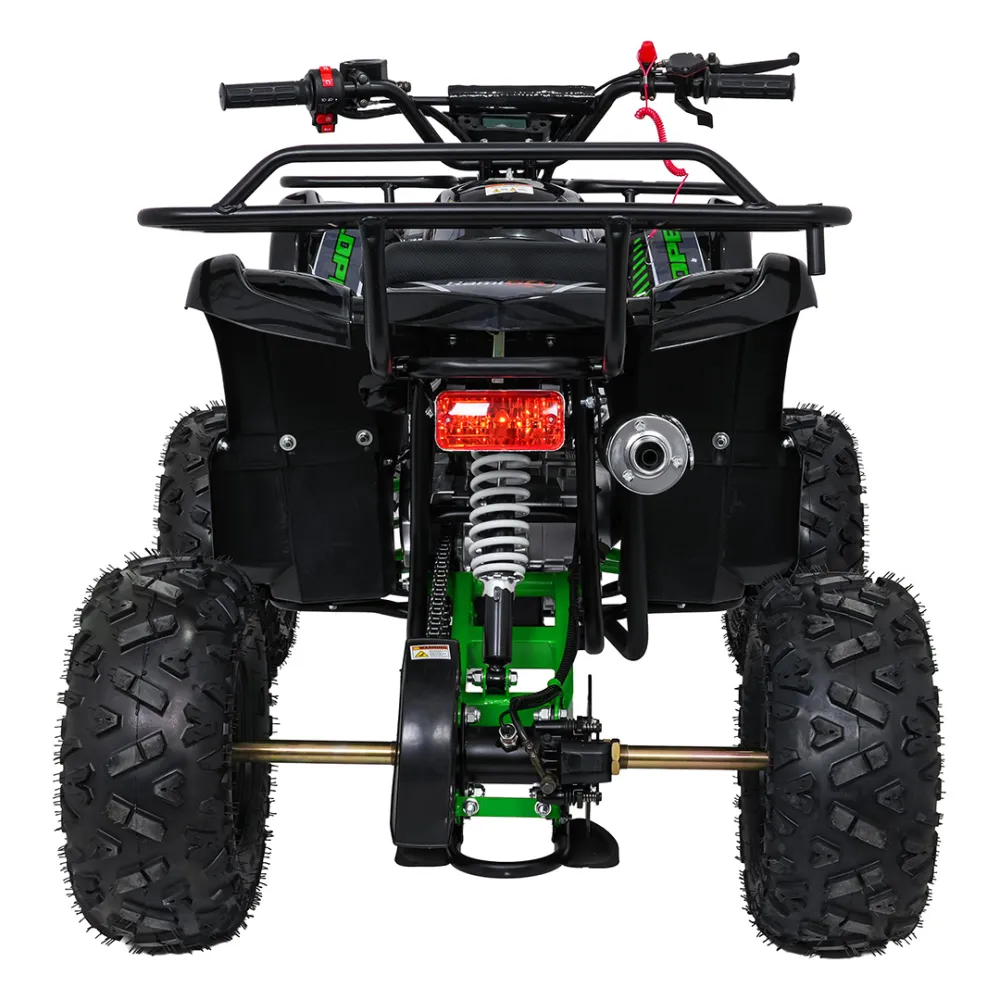 Variklinis keturratis motociklas „WILDPEAK“ 110 cm³, žalias-Elektromobiliai vaikams, Keturračiai ir bagiai-e-vaikas