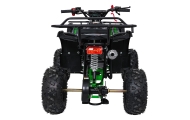 Pojazd Quad Spalinowy WILDPEAK 110cc Zielony