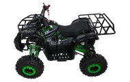 Variklinis keturratis motociklas „WILDPEAK“ 110 cm³, žalias-Elektromobiliai vaikams, Keturračiai ir bagiai-e-vaikas