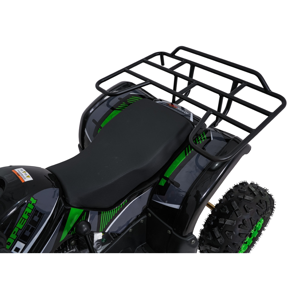 Variklinis keturratis motociklas „WILDPEAK“ 110 cm³, žalias-Elektromobiliai vaikams, Keturračiai ir bagiai-e-vaikas