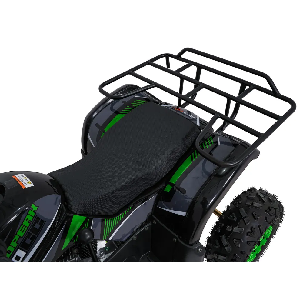 Variklinis keturratis motociklas „WILDPEAK“ 110 cm³, žalias-Elektromobiliai vaikams, Keturračiai ir bagiai-e-vaikas