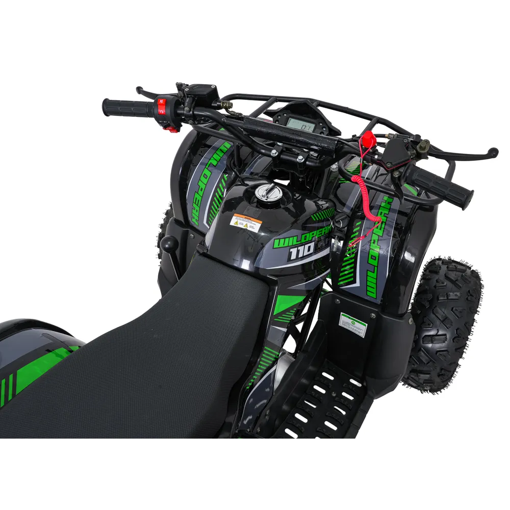Variklinis keturratis motociklas „WILDPEAK“ 110 cm³, žalias-Elektromobiliai vaikams, Keturračiai ir bagiai-e-vaikas