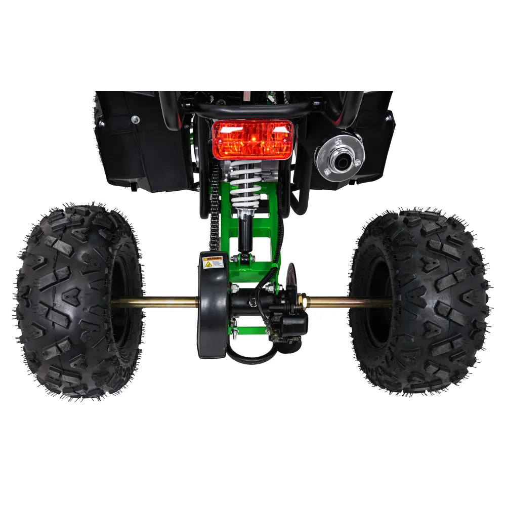 Variklinis keturratis motociklas „WILDPEAK“ 110 cm³, žalias-Elektromobiliai vaikams, Keturračiai ir bagiai-e-vaikas