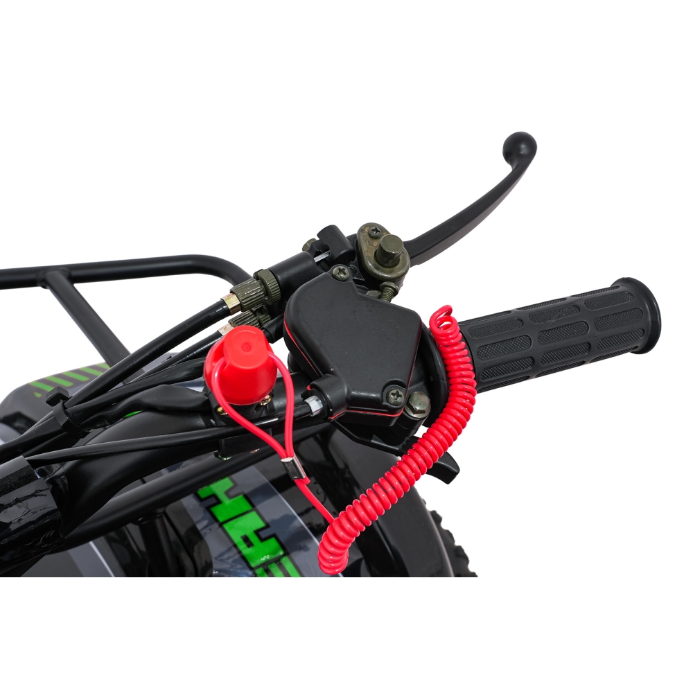 Variklinis keturratis motociklas „WILDPEAK“ 110 cm³, žalias-Elektromobiliai vaikams, Keturračiai ir bagiai-e-vaikas