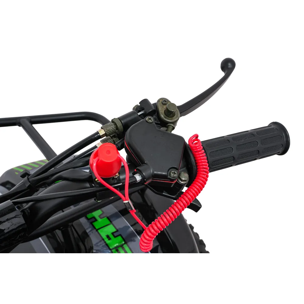 Variklinis keturratis motociklas „WILDPEAK“ 110 cm³, žalias-Elektromobiliai vaikams, Keturračiai ir bagiai-e-vaikas